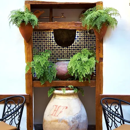 호텔 엠블마티코 산 아구스틴 이코드레로스비노스