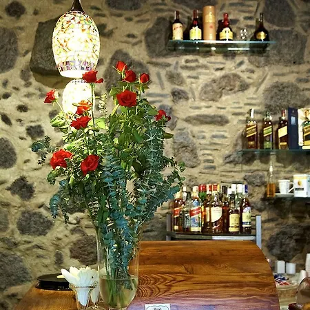 Emblematico San Agustin