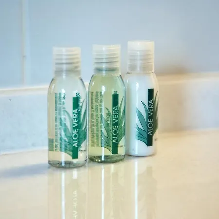 埃姆布勒玛提卡圣奥古斯丁酒店 酒店 伊科德·德·洛斯·维诺斯