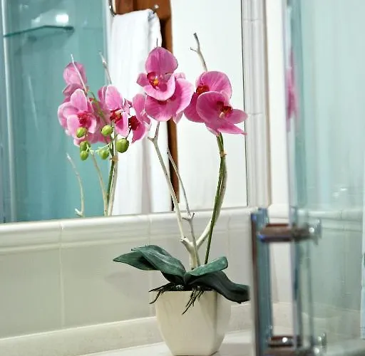 Szálloda Emblematico San Agustin Icod de los Vinos