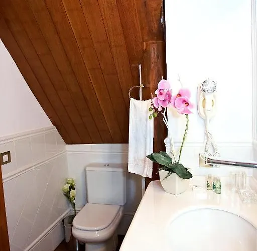 エンブレマティコ サン アグスティン 3* イコー・デ・ロス・ビノス