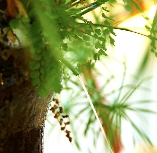 埃姆布勒玛提卡圣奥古斯丁酒店 3*