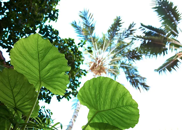 エンブレマティコ サン アグスティン